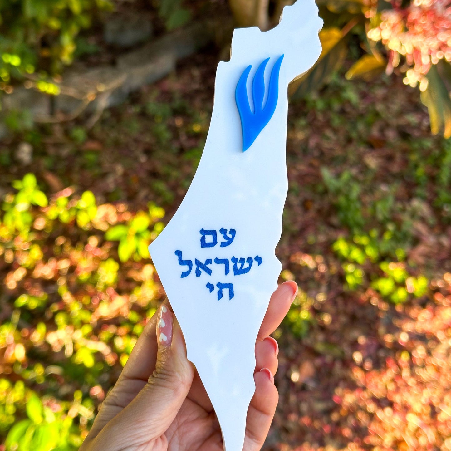 Am Yisrael Chai Israel Mezuzah Case