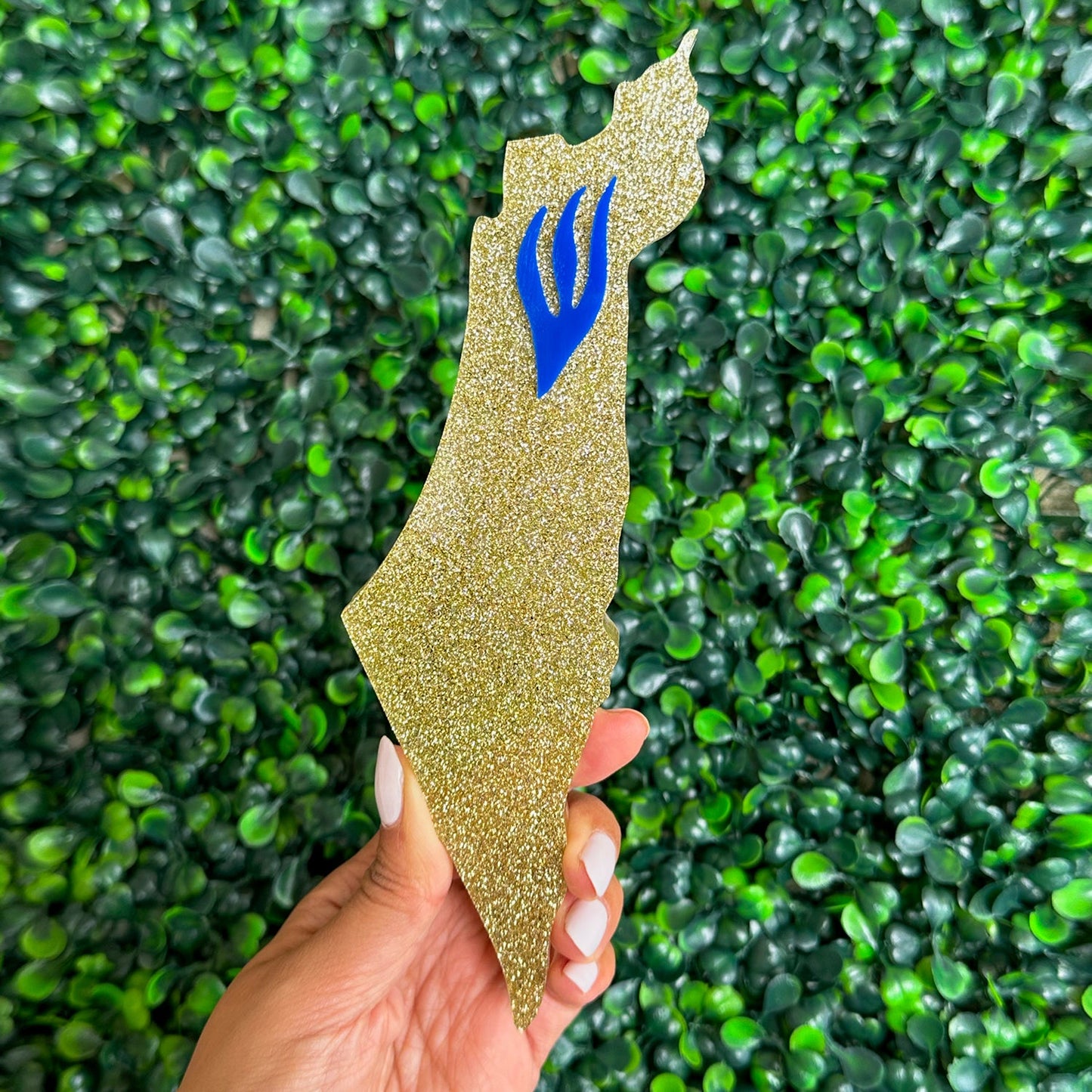 Shape of Israel Glitter Mezuzah Case